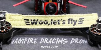 FLYWOO Vampire 230mm