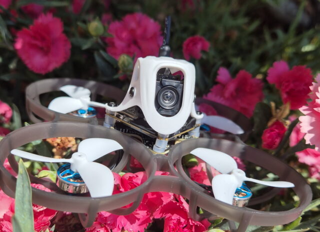 A 1S Whoop FPV drone hovering between vibrant red flowers outdoors