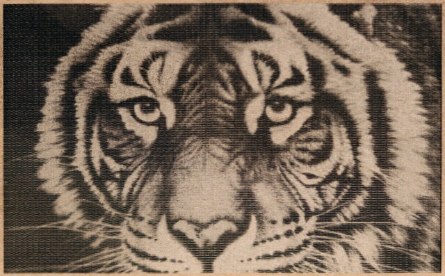 Tiger head design engraved using the Acmer S1