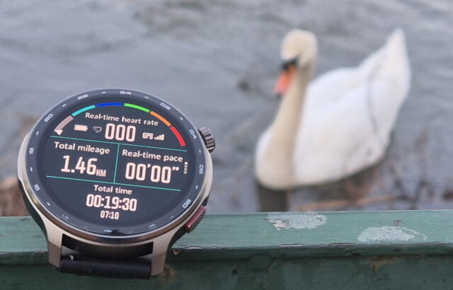 KKTICK Tank T6 wristwatch placed on a riverside surface with a white swan visible near the water in the background.